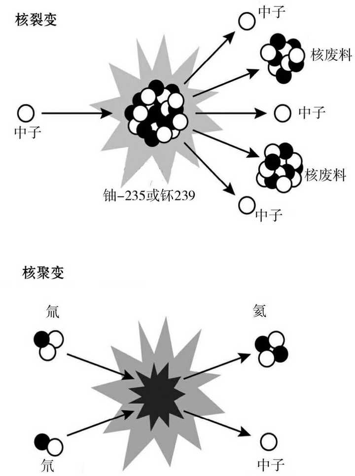 大学物理实验密度测量实验报告_物理实验报告大学密度的测量_大学物理实验密度测量数据