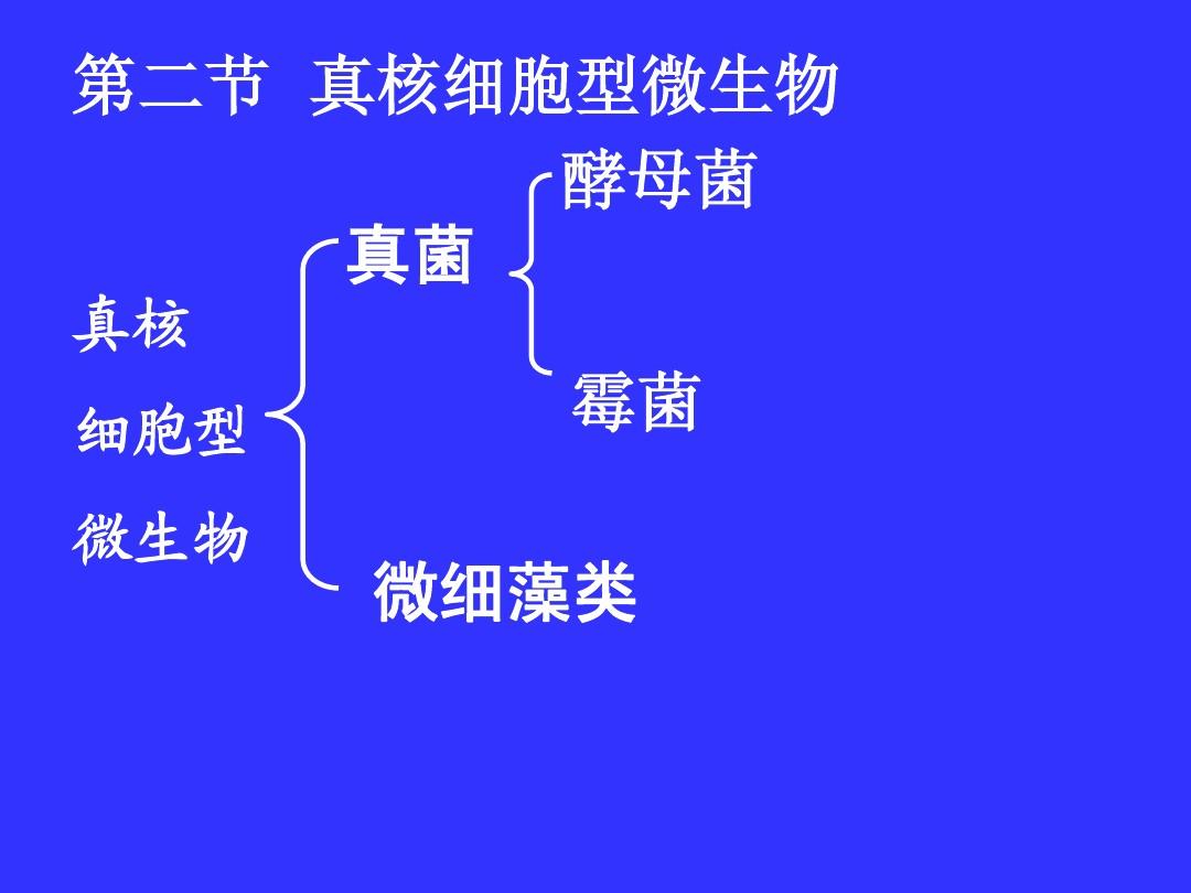 细胞膜结构图_细胞膜结构图_细胞膜结构图