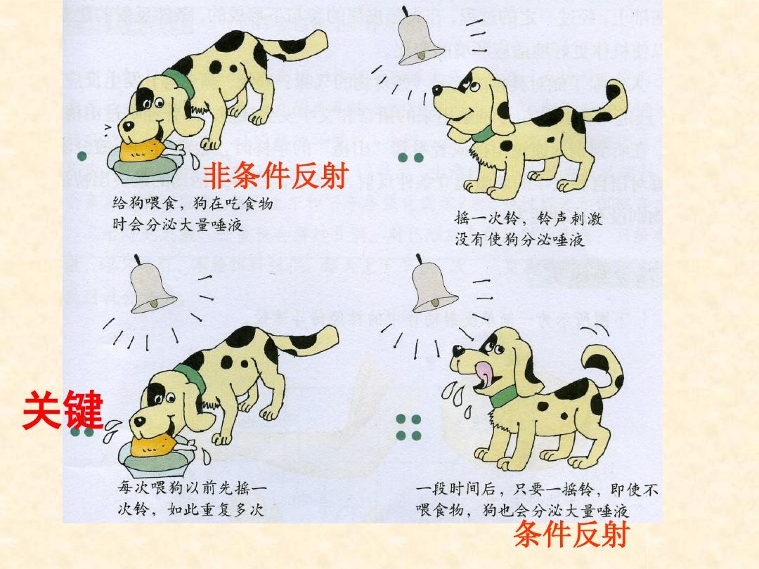 物理八年级上册前三章知识点_物理八年级上册前三章知识点_物理八年级上册前三章知识点