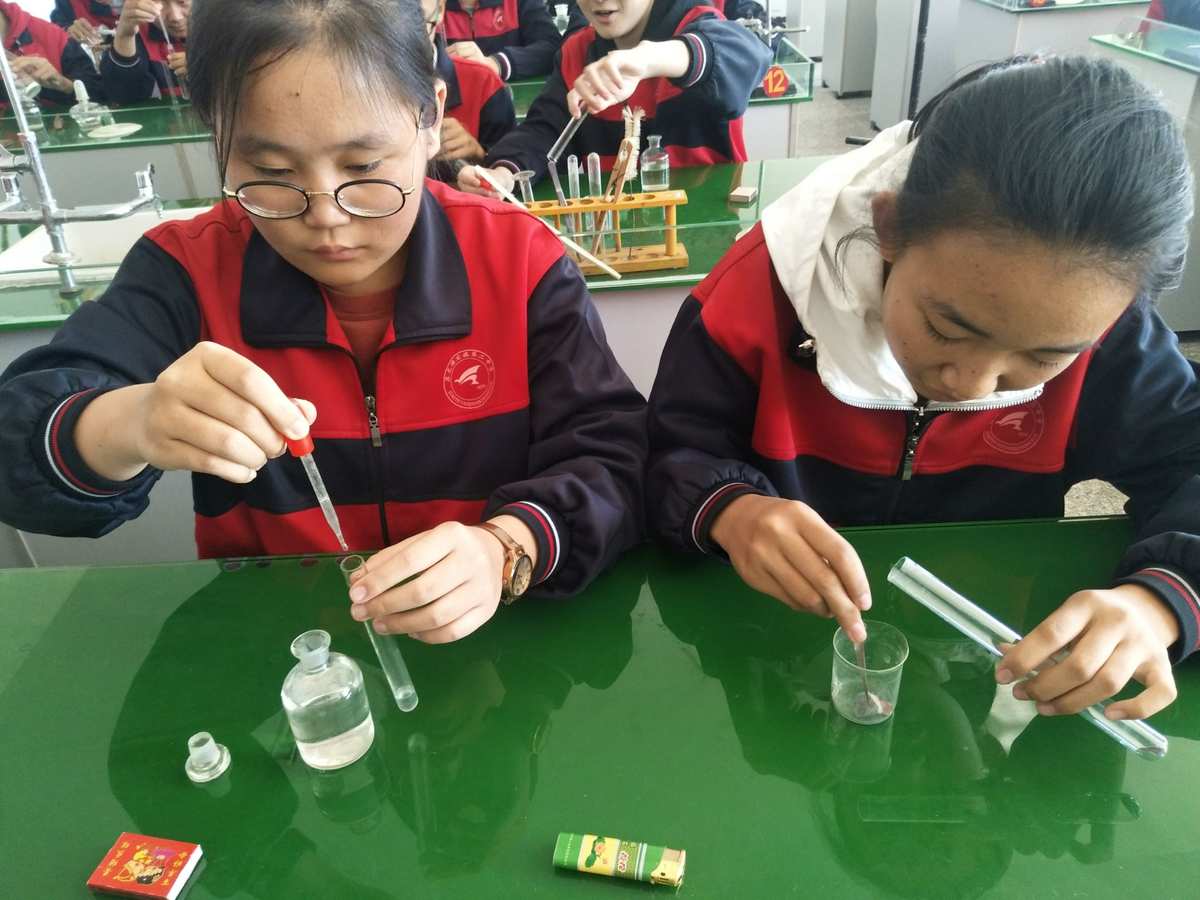 初中物理实验研究报告_物理初中实验报告研究内容_初中物理实验报告怎么写