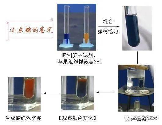 还原糖的检测和观察实验视频_还原性糖实验视频_还原糖实验视频