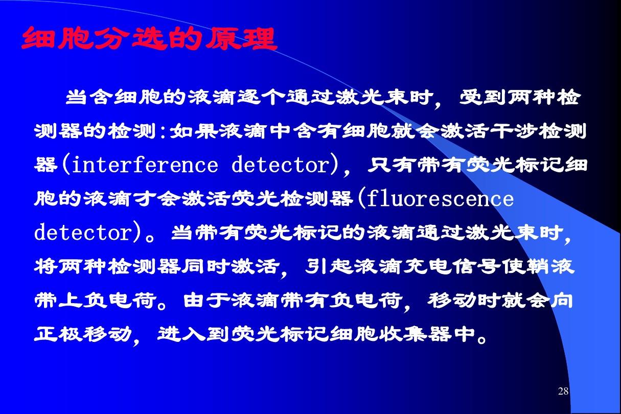 过氧化氢酶实验高中生物视频_氢酶怎么读_生物酶制氢