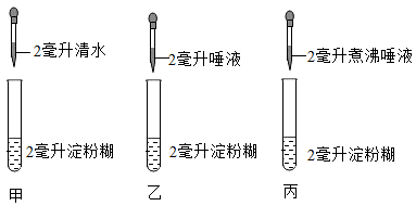 氢酶怎么读_生物酶制氢_过氧化氢酶实验高中生物视频