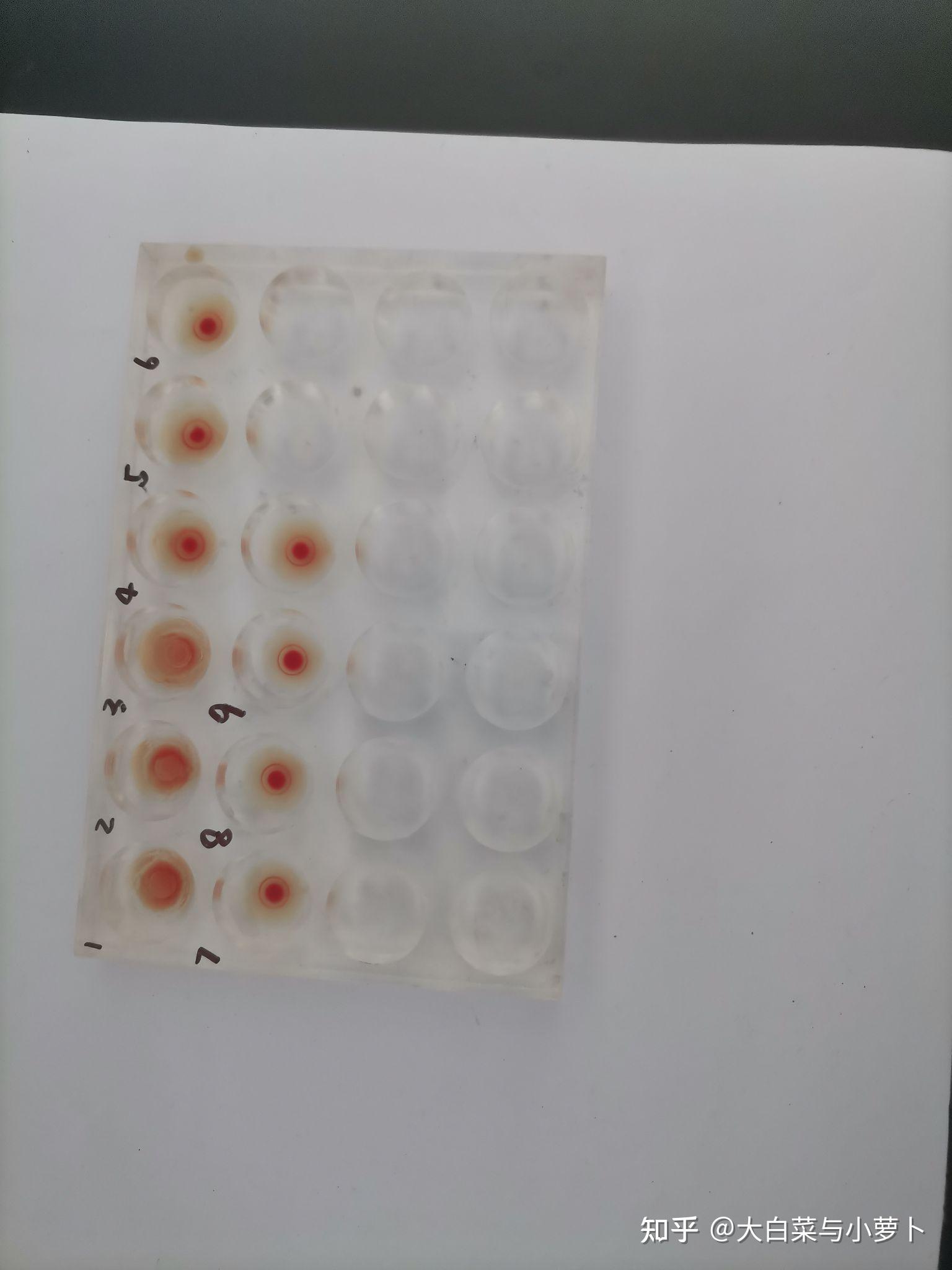 酶法制氢_高中生物酶的实验视频_过氧化氢酶实验高中生物视频