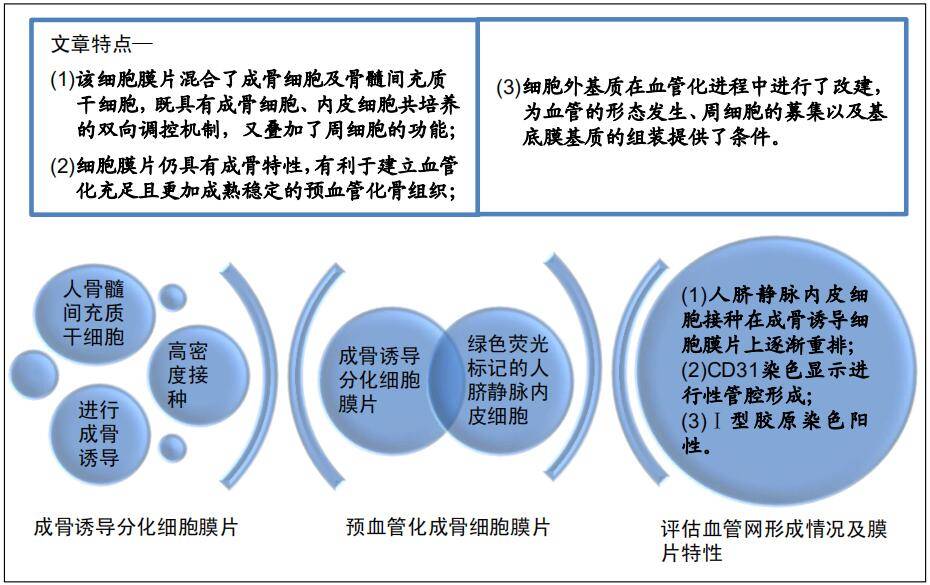 细胞膜片钳设备_细胞膜片钳_细胞膜片