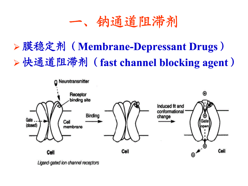 ⅲ类钾通道阻滞剂_ⅲ类钾通道阻滞剂_ⅲ类钾通道阻滞剂