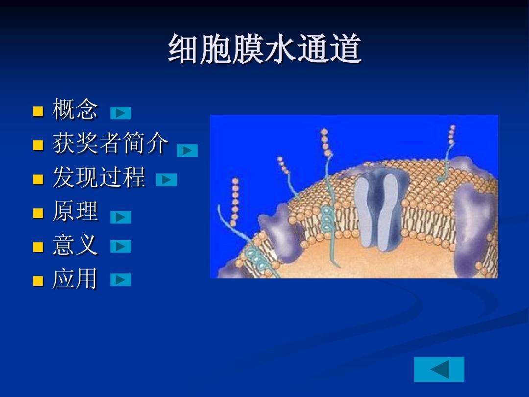 细胞膜通道_细胞膜通道的功能状态_细胞膜通道种类与特点