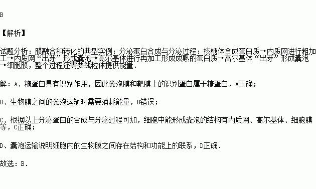 细胞膜受体的作用机制_细胞膜受体往往是什么_细胞膜受体