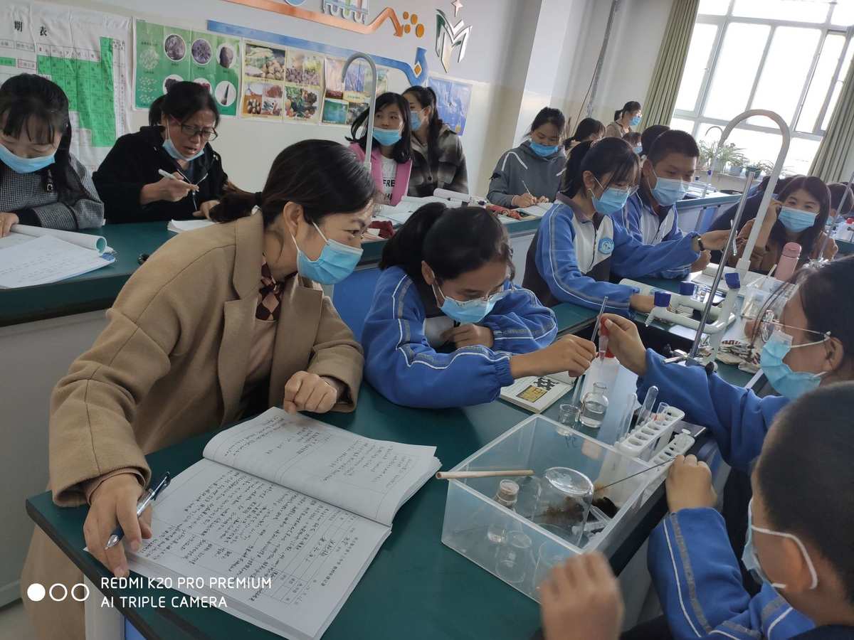 物理高中反思教学方法_高中物理教学反思_高中物理课堂教学反思