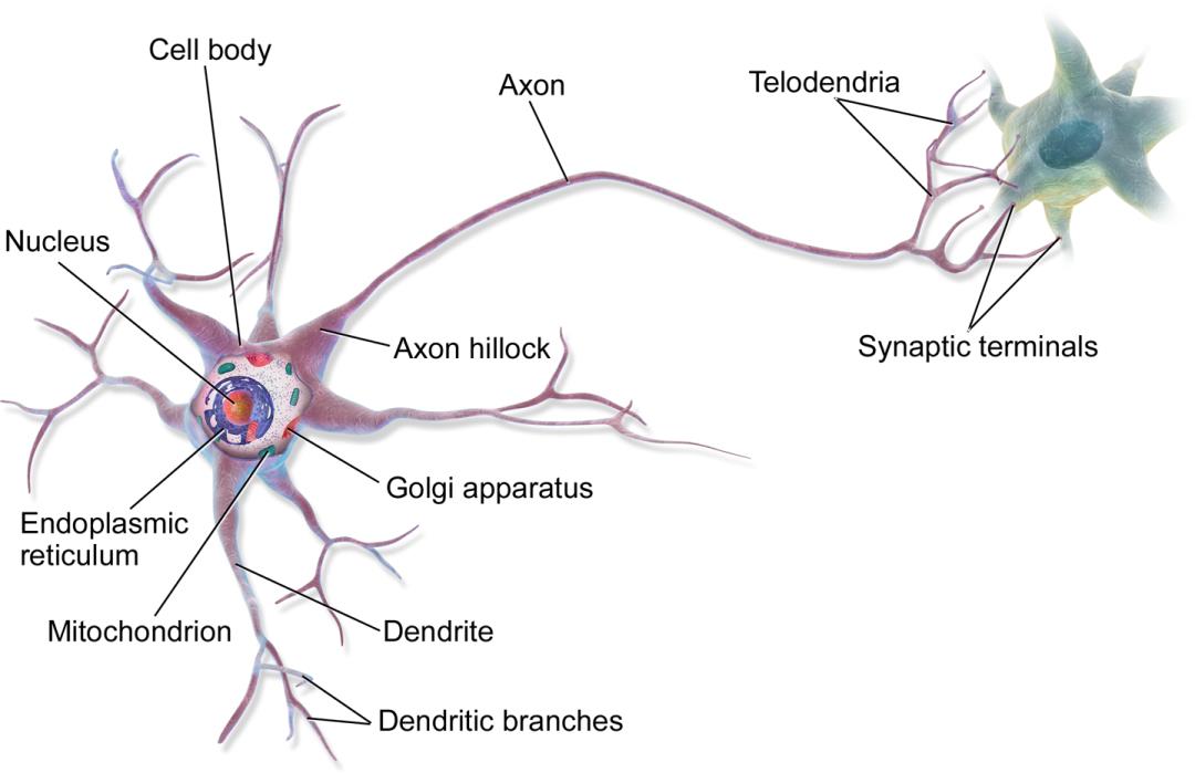 物理学家科学家_物理学界的科学家_请问物理学家