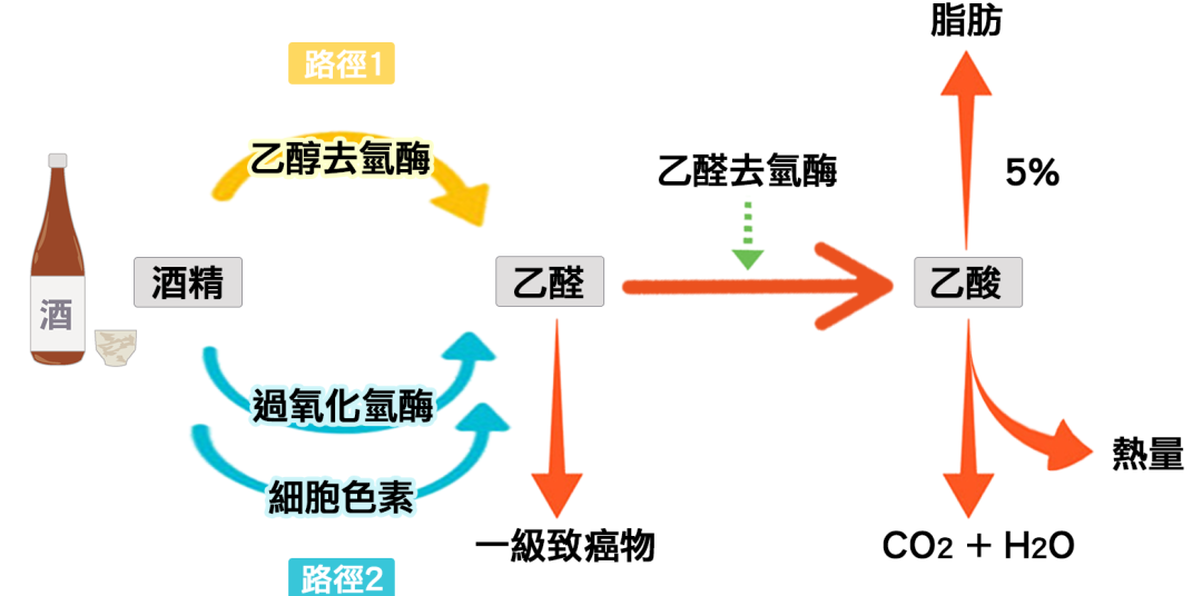 乙醇催化氧化实验报告_乙醇的催化氧化实验视频_催化氧化反应乙醇