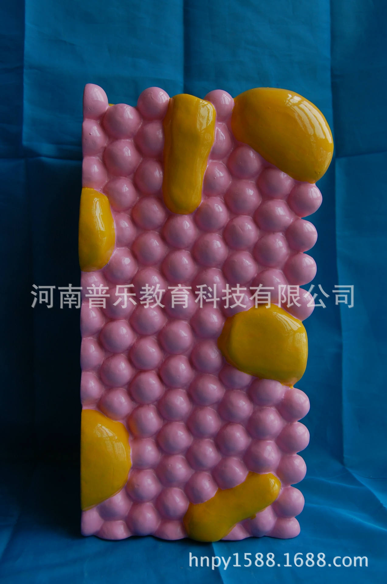 流动镶嵌模型是细胞膜吗_细胞膜的流动镶嵌模型_细胞膜的流动镶嵌模型制作