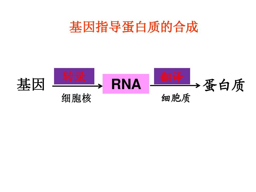 细胞膜蛋白_细胞膜蛋白的主要功能_细胞膜蛋白是胞内蛋白吗