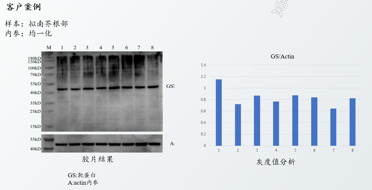 细胞膜蛋白是胞内蛋白吗_细胞的膜蛋白_细胞膜蛋白