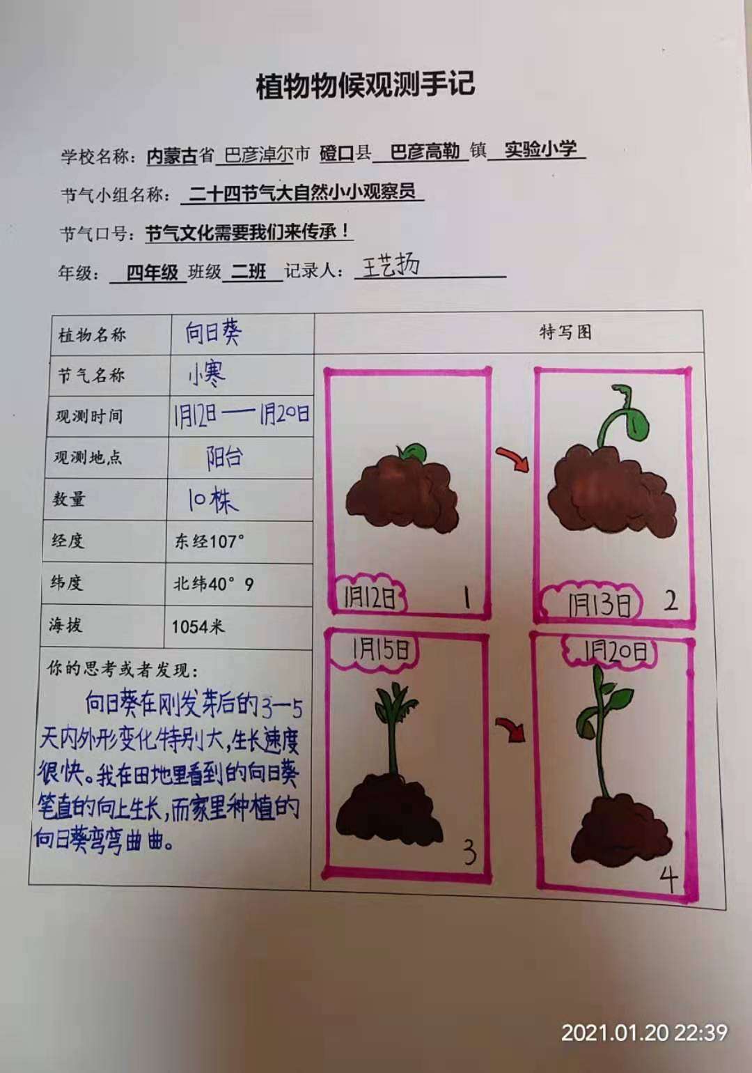 实验观察种子的结构视频_种子的实验视频_观察种子的结构实验视频