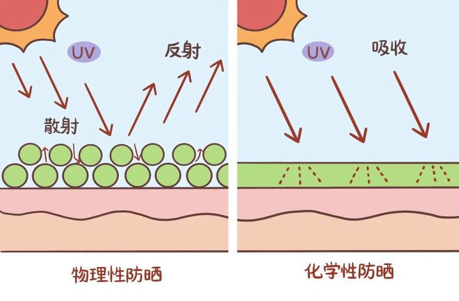 化学和物理防晒的区别_防晒化学和物理防晒的区别_防晒物理和化学防晒哪个好