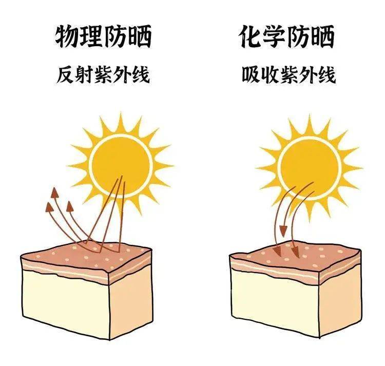 化学和物理防晒的区别_防晒霜化学和物理的区别_防晒物理和化学防晒哪个好