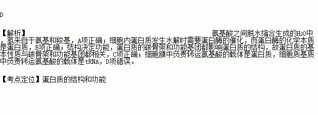 细胞膜结构图_膜结构细胞器_细胞膜构型