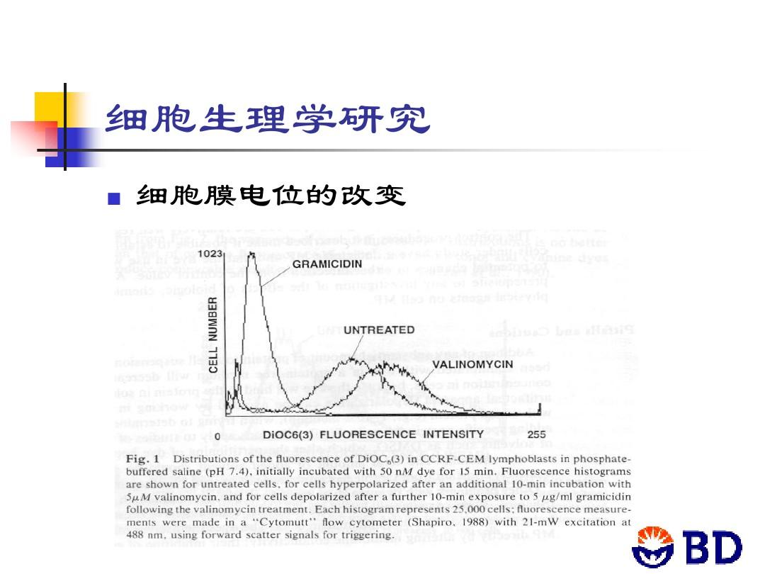 膜细胞恢复极化状态称去极化吗_细胞膜处于极化状态_细胞膜去极化后恢复到原来的状态 称为