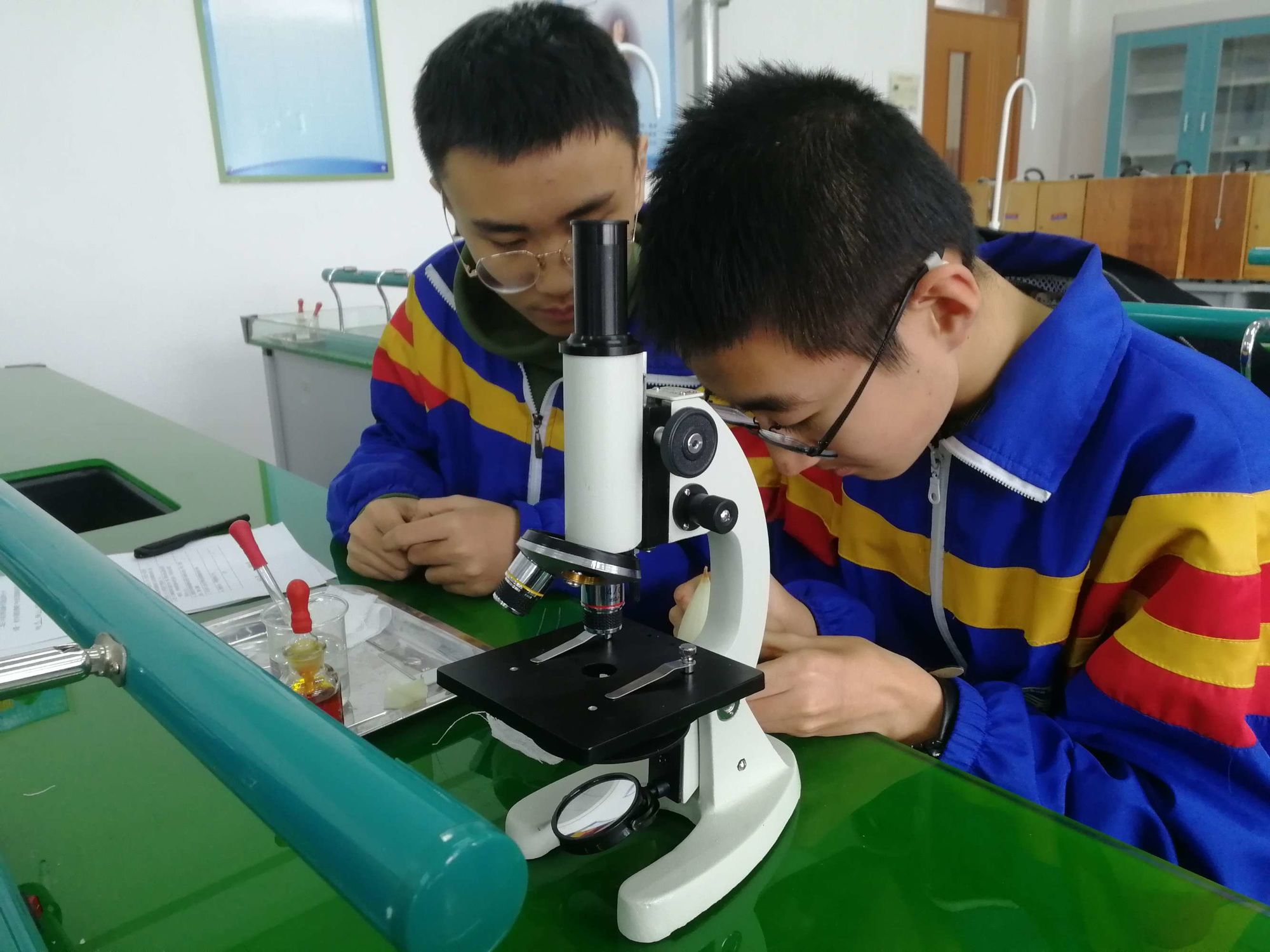 中学物理学科网app_中学学科网物理网_物理学网络课程