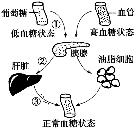 钠离子通道阻滞剂_钠离子通道阻滞药_钠离子通道阻滞剂作用机制