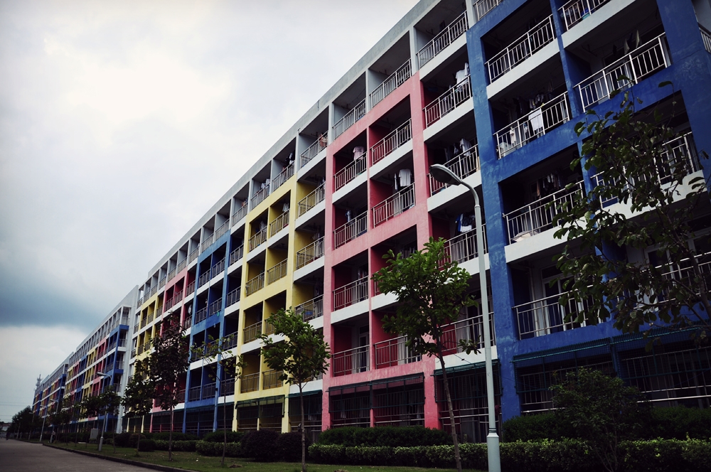 物理科学学院青岛大学_青岛大学物理学院_青岛物理学院大学专业排名