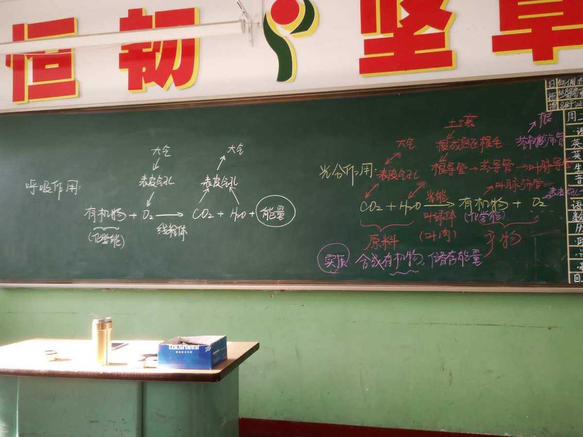 板书能力是什么意思_板书设计力求_二力平衡板书图片