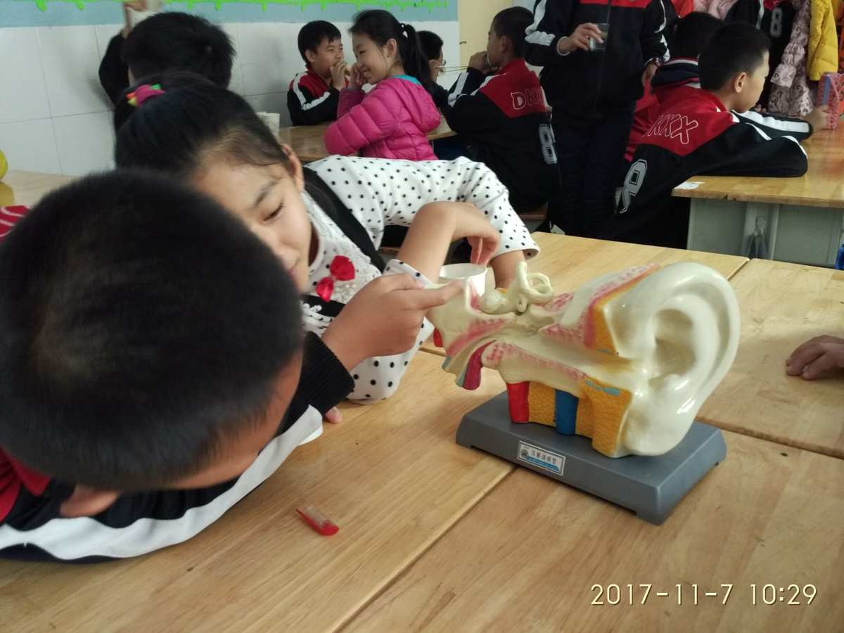特性反思教学声音怎么写_声音的特性教学设计教学反思_声音的特性教学反思