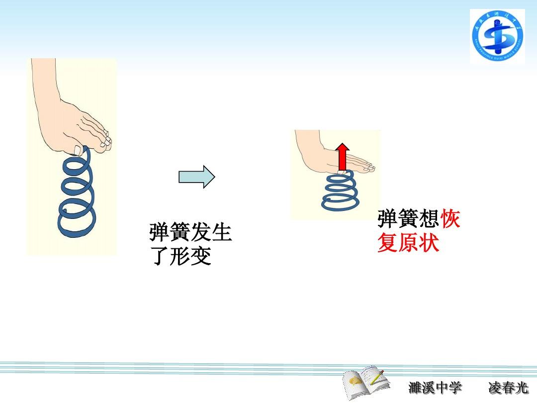 弹力的方向和大小_弹力大小方向作用点分别是_弹力大小方向作用点