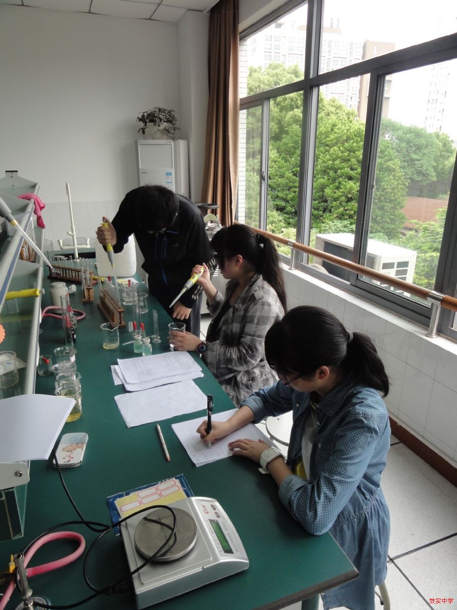 大学物理实验单摆实验总结_大学物理实验 单摆_大学物理单摆实验实验报告