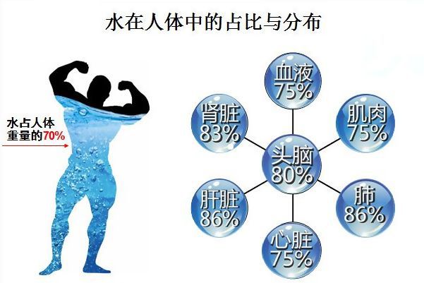 细胞膜水通道_细胞膜水通道的原理_细胞膜水通道蛋白