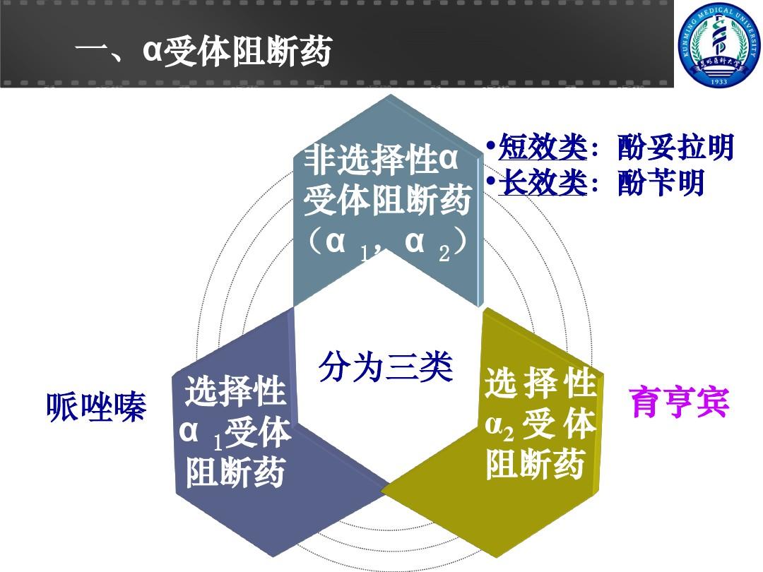 细胞膜离子通道_细胞膜离子通透性_膜离子通道学说
