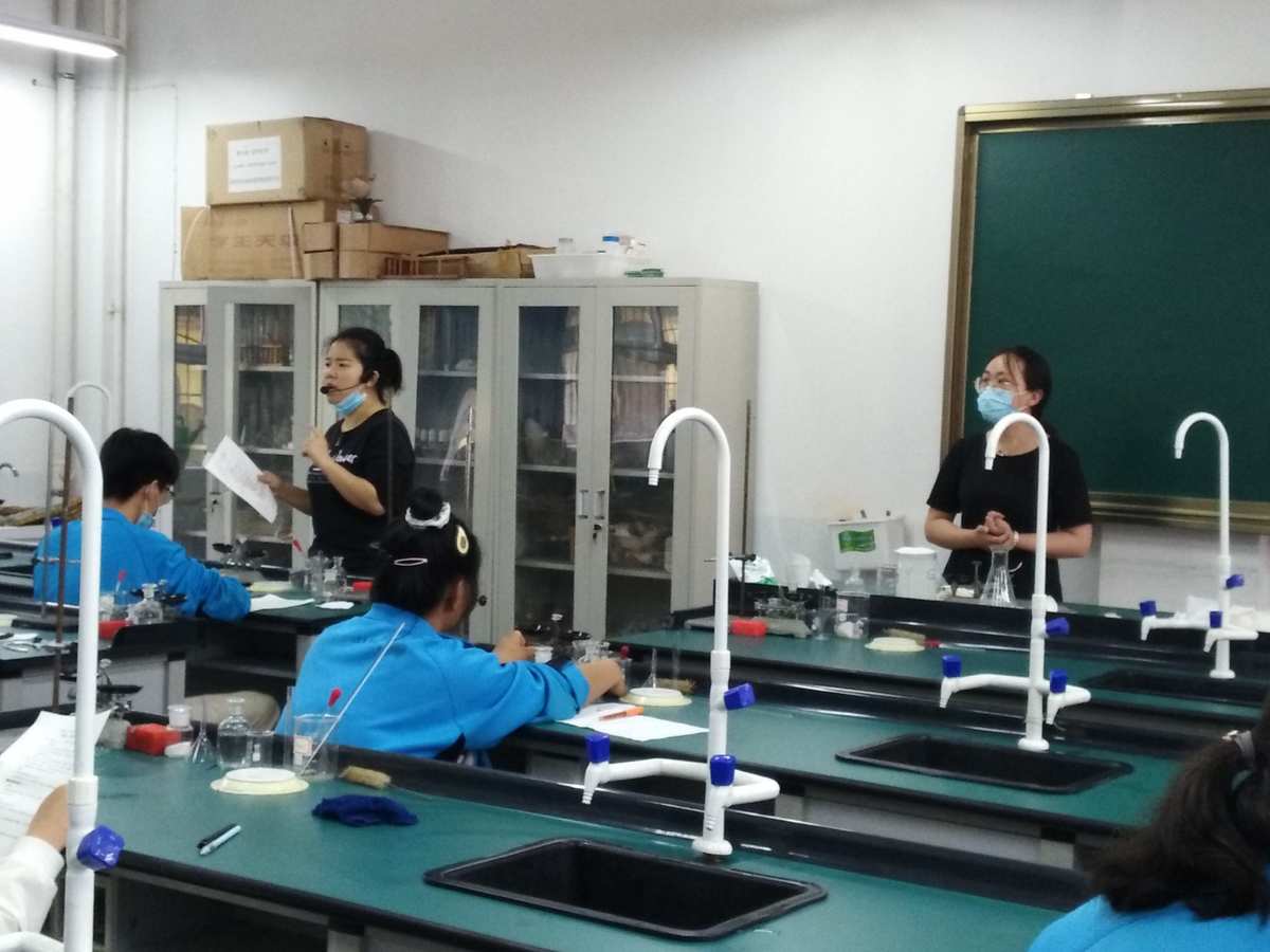九年级物理实验教学总结_物理实验课教学_物理实验教学内容