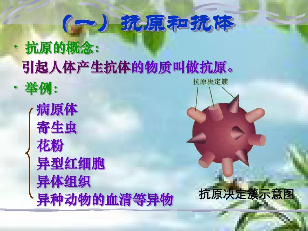 膜抗原的功能_细胞膜抗原_细胞膜分化抗原检测