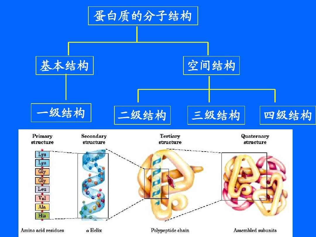 细胞膜构型_构建细胞膜的结构模型_细胞膜结构图