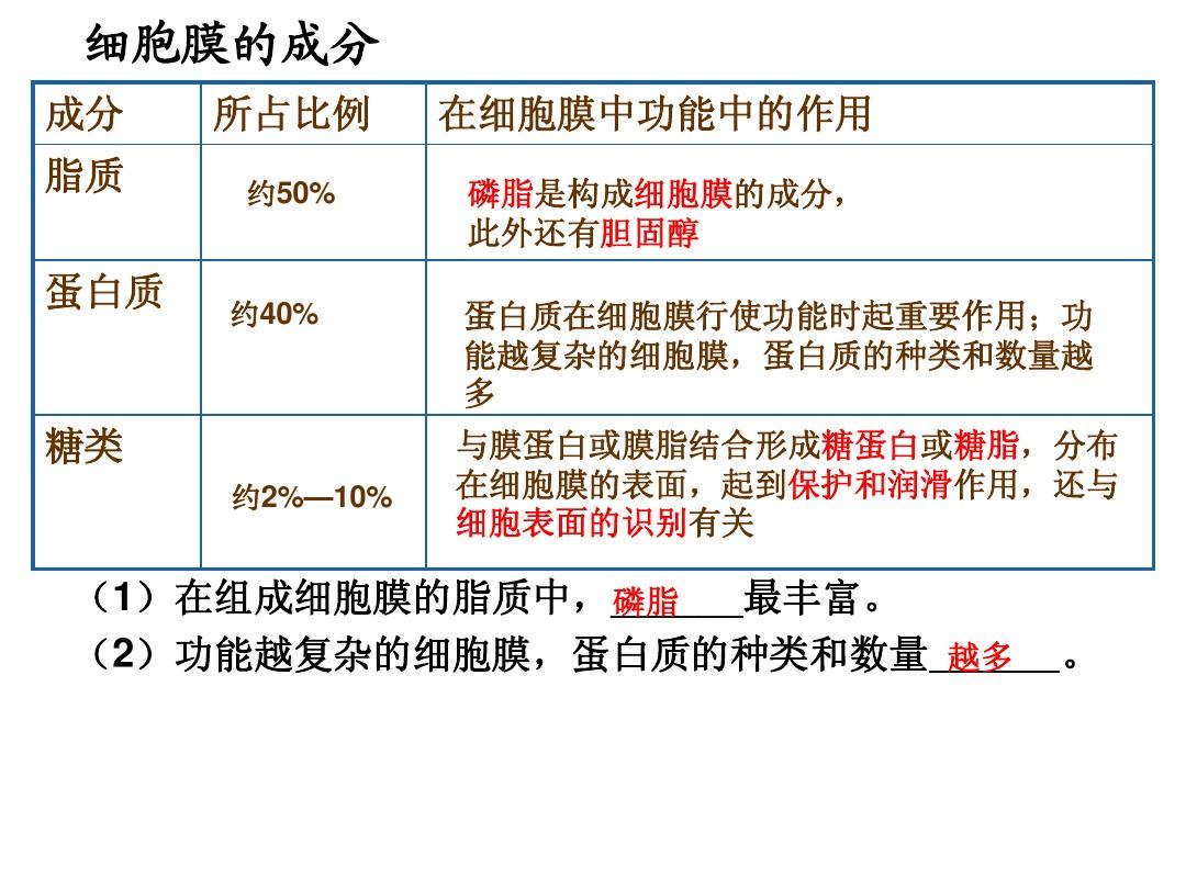细胞膜系统的边界ppt课件_细胞膜——系统的边界ppt_系统的边界细胞膜