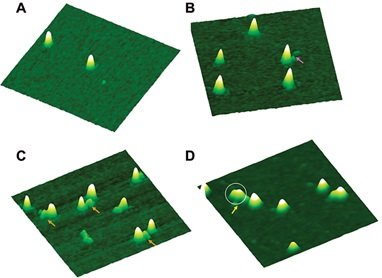 量子物理应用领域_量子物理学的应用_量子应用物理学就业前景