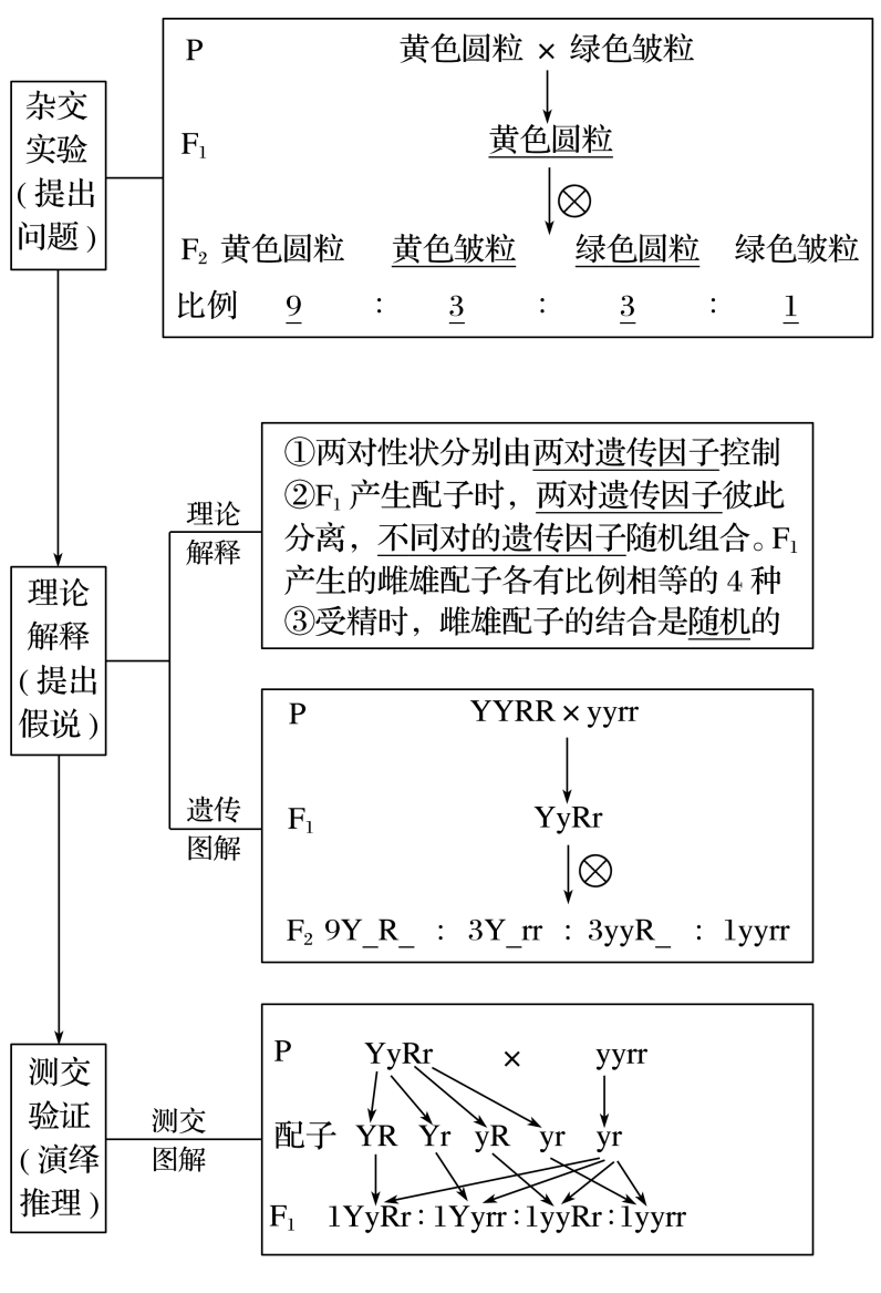 物理人教版电子_八年级物理电子课本网_物理电子书人教版