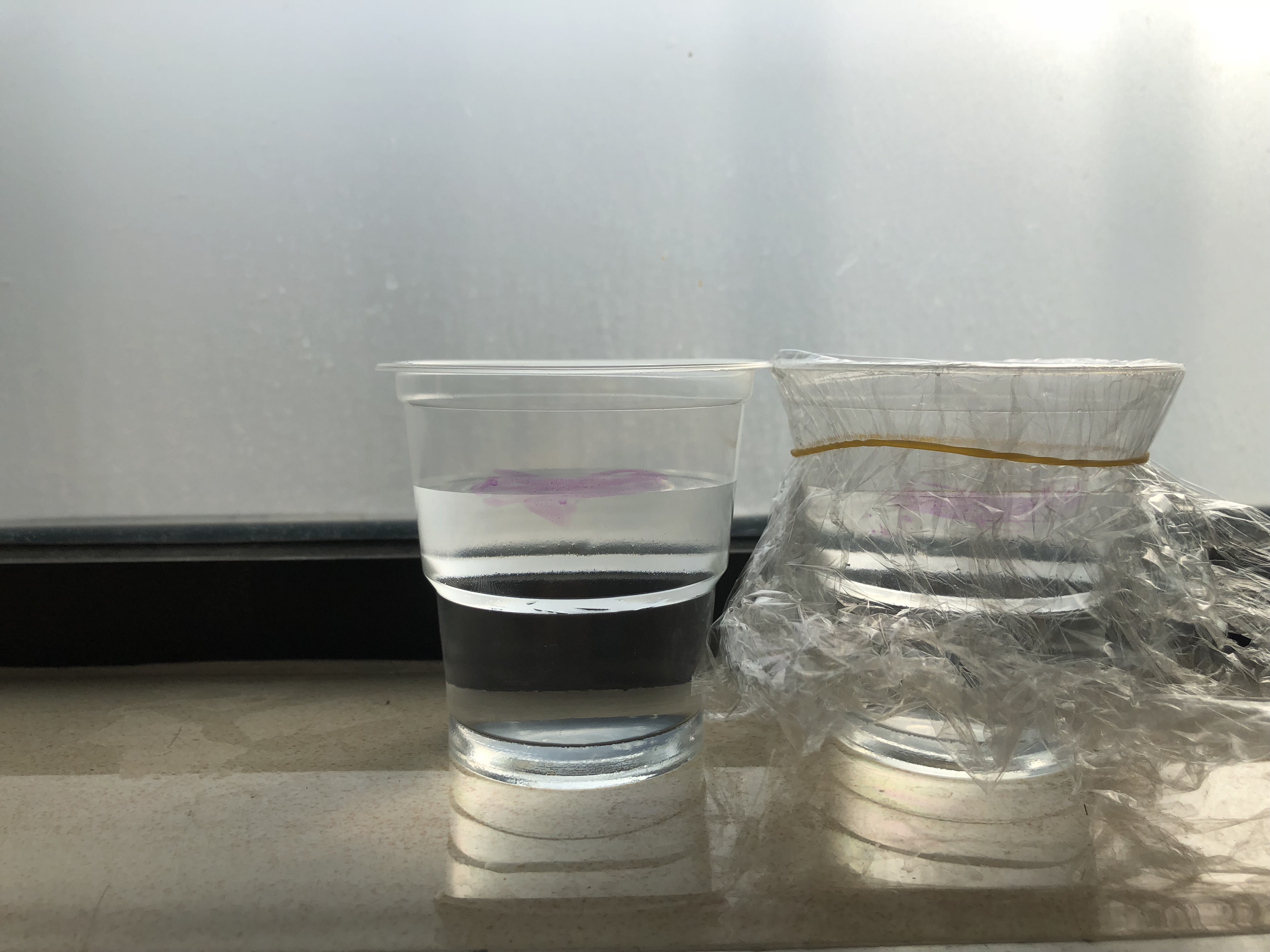 水的密度的科学意义_农业、生态水安全及寒区水科学_草鱼科学养殖密度