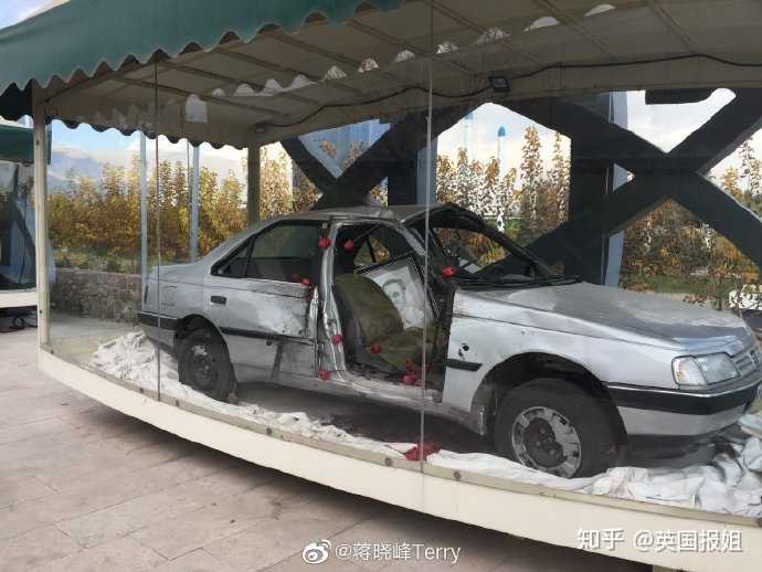 物理学家被刺杀