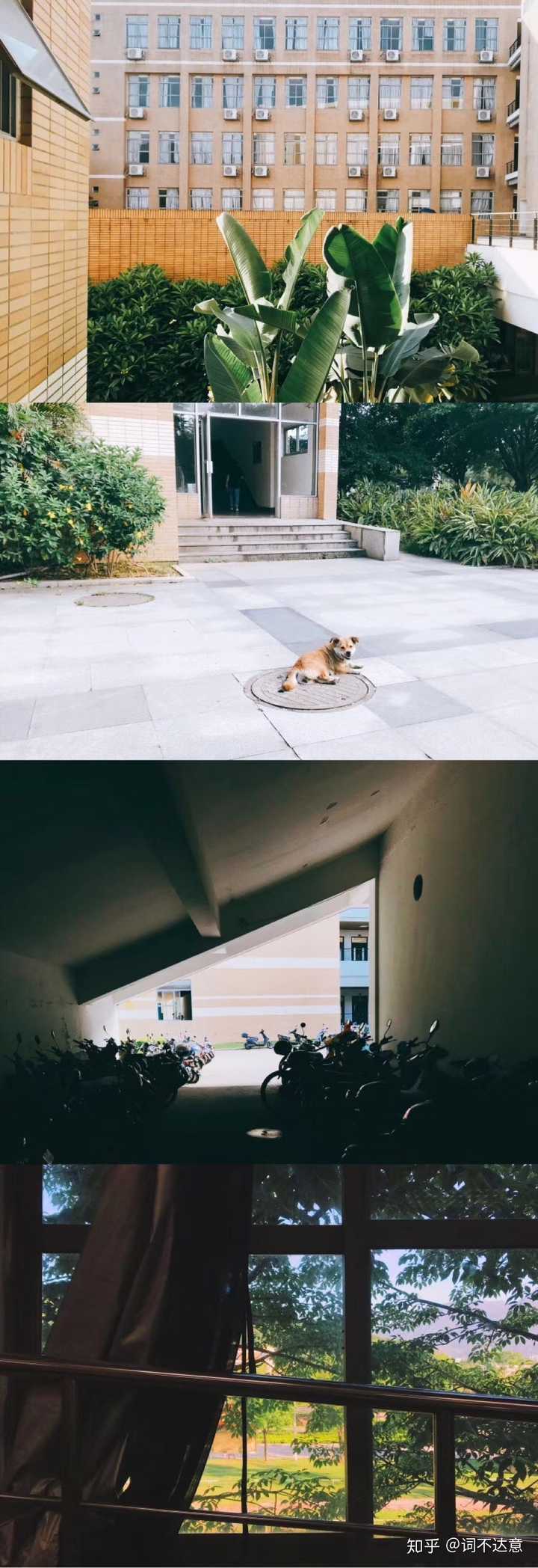 福州大学至诚学院宿舍