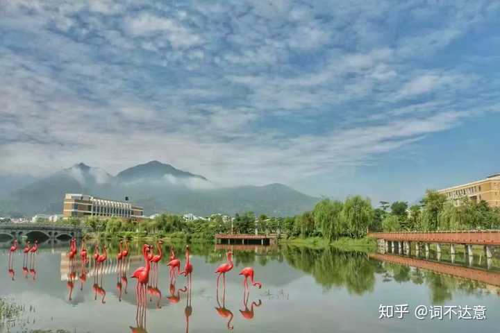 福州大学至诚学院宿舍