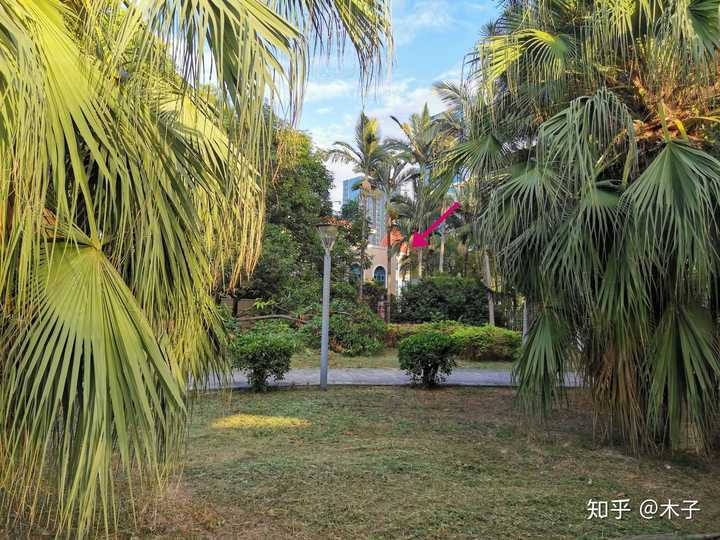 福州大学至诚学院怎么样