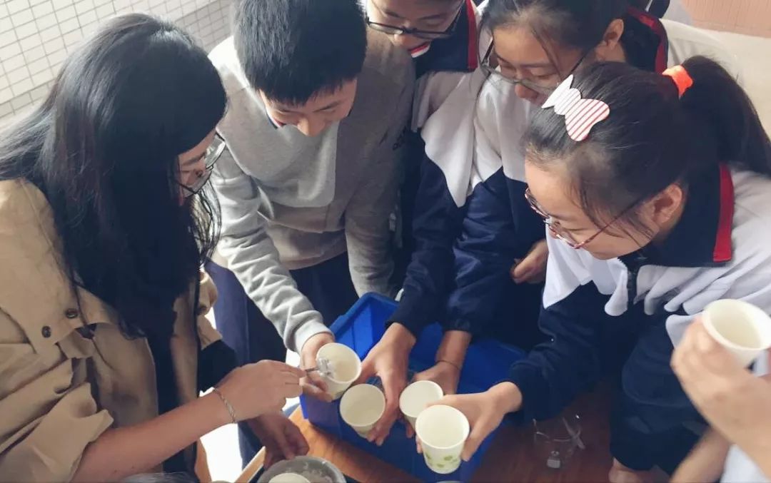 初中物理名师赛