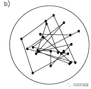 布朗运动是什么运动