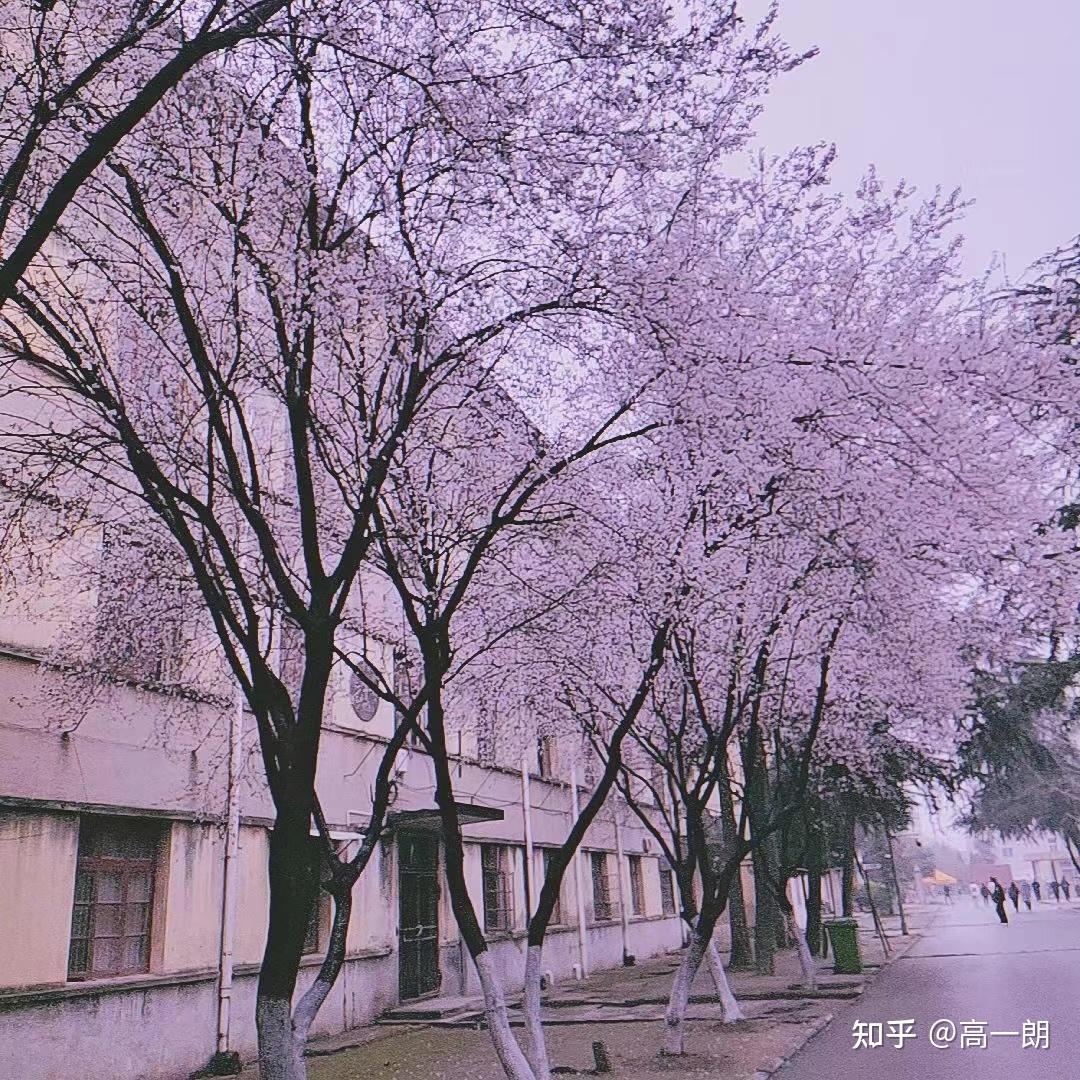 阜阳师范学院地址