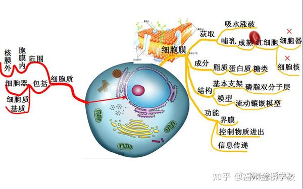 高中物理单元结构教学实践