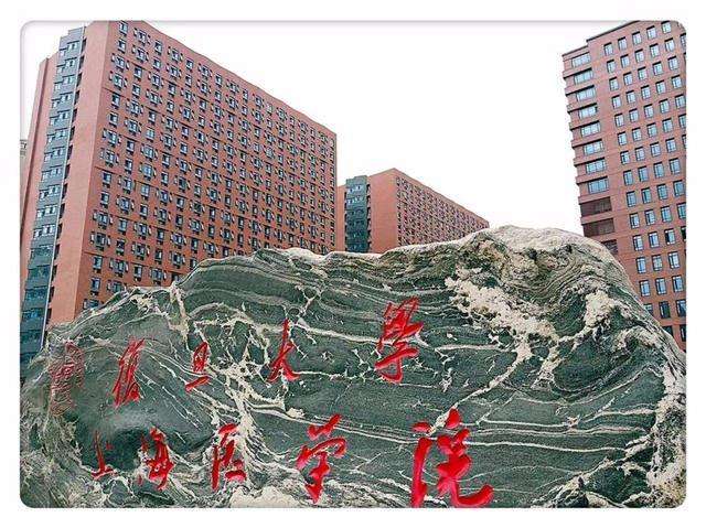 复旦大学医学院分数线