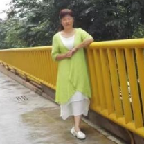 中学物理教学参考
