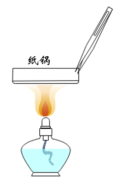 初中物理面试试讲